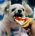  Foto: Adobe Stock