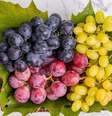 Uva - Shutterstock  Foto: Sport Life