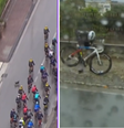 Cachorro derruba campeão mundial de ciclismo; vídeo  Foto: Reprodução/Redes Sociais