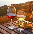 O outono é uma ótima oportunidade para saborear diferentes tipos de vinhos  Foto: Alexander Chaikin | Shutterstock / Portal EdiCase