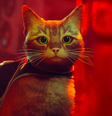 Stray está disponível para PC e consoles PlayStation, mas pode chegar em breve aos consoles Xbox  Foto: Annapurna / Divulgação