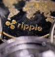 Ilustração com a representação da Ripple
29/11/2021
REUTERS/Dado Ruvic  Foto: Reuters