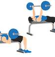 Supino – Foto: Shutterstock  Foto: Sport Life