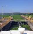 Plantas impedem navegação turística e prejudicam a pesca em trechos do Rio Tietê em Barra Bonita e no reservatório de Anhembi, no interior de São Paulo  Foto: GT Macrófita/Divulgação / Estadão