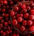 Cranberry: frutinha poderosa previne além de infecções urinárias  Foto: Pexels / Bons Fluidos