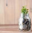 investimento, dinheiro,   Foto: Towfiqu barbhuiya/Unsplash