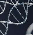 Apesar do nome "bebês de três pais", mais de 99,8% do DNA nos bebês vieram da mãe e do pai  Foto: Warren Umoh / Unsplash