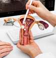 O mioma uterino não oferece risco à saúde, mas exige acompanhamento médico -  Foto: Shutterstock / Alto Astral
