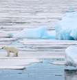 Uma das consequências do efeito estufa é o derretimento de geleiras  Foto: zanskar / iStock