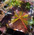 Foto: CENAS BRASILEIRAS / iStock