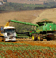 Agropecuária   Foto: Jaelson Lucas/AEN-PR