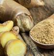 Gengibre - Shutterstock  Foto: Sport Life