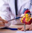 Alerta: doenças cardiovasculares são a principal causa de morte no Brasil -  Foto: Shutterstock / Saúde em Dia