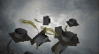 capa congratulations-graduate-cap-toss.gif  Foto: Reprodução/ Tenor