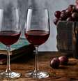 Dia Nacional do Vinho - Shutterstock  Foto: Sport Life