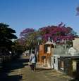 Imagem mostra homem de costas caminhando em cemitério.  Foto: Ravena Rosa/Agência Brasil: / Alma Preta