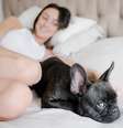 Mais protetores e desconfiados: pets captam que algo mudou  Foto: Freepik