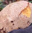Fruta mordida foi encontrada na floresta em meio às buscas pelas crianças  Foto: Colombian Military Forces HANDOUT/EPA-EFE/REX/Shutterstock / BBC News Brasil