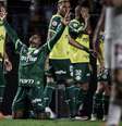 Endrick  Foto: Andre Pera/Pera Photo Press / Gazeta Press