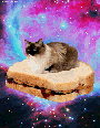 giphy (38).gif  Foto: Imagem: Reprodução/Giphy
