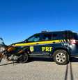 O indivíduo foi conduzido à Delegacia de Polícia de Pronto Atendimento  Foto: PRF (Divulgação) / Porto Alegre 24 horas
