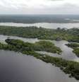 FLORESTA AMAZÔNICA. FOTO AGÊNCIA BRASIL/EBC  Foto: Agência Brasil/EBC / Estadão