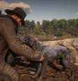 Cachorro serviu de modelo para o animal em Red Dead Redemption 2  Foto: 