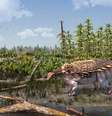 Nova espécie de dinossauro recebeu o nome em homenagem ao cientista Paul Barrett  Foto: Reprodução/Museu de História Natural