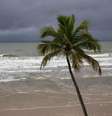  Foto: Climatempo