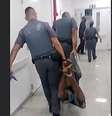 Ministério Público do estado de São Paulo (MP) denunciou por três crimes nesta sexta-feira (16) o homem que foi carregado por policiais militares com mãos e pés amarrados  Foto: Reprodução TV