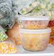 Congelar alimentos corretamente ajuda a prevenir a intoxicação alimentar -  Foto: Shutterstock / Alto Astral