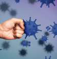 Fortalecer a imunidade é essencial para prevenir infecções e outras doenças -  Foto: Shutterstock / Alto Astral