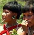 Pesquisa indica que 62% das comunidades indígenas yanomami vivem hoje muito próximas a menos de 5 quilômetros (km) de áreas com floresta alterada por não-indígenas  Foto: EBC/TV Brasil