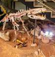 Acervo do Museu de Paleontologia de Monte Alto  Foto: Divulgação/Prefeitura de Monte Alto