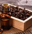 Use o cravo como ingrediente de suas magias -  Foto: Shutterstock / João Bidu