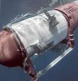 O cone, uma seção do revestimento externo do Titan e partes da estrutura de pouso estavam entre os destroços resgatados  Foto: OCEANGATE / BBC News Brasil