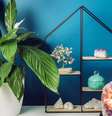 Tenha essas pedra na sua sala de estar -  Foto: Shutterstock / João Bidu