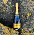 O Gusbourne Exclusive Release Brut 2018 chegou ao Brasil, pelo preço de R$499,00  Foto: Divulgação @gusbourne_wine / Estadão