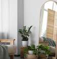 Tenha esses objetos em seu lar -  Foto: Shutterstock / João Bidu