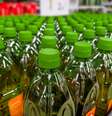 Garrafas de azeite nos supermercados  Foto: iStock