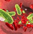 Septicemia: entenda a “doença dos famosos”, uma das mais letais do mundo -  Foto: Shutterstock / Saúde em Dia
