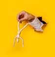 Veja quais são os signos mais manipuladores - Shutterstock  Foto: Alto Astral