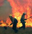 Incêndios também estão na lista de delitos ambientais  Foto: ANSA / Ansa - Brasil