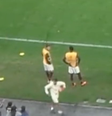 O incidente ocorreu na última terça-feira, na Neo Química Arena  Foto: Esporte News Mundo
