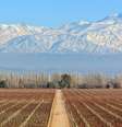 Vinhas da Catena Zapata são emolduradas pelas montanhas de Mendoza.  Foto: Catena Zapata/Facebook/Reprodução / Viagem e Turismo