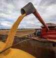 Agronegócio é destaque da economia de Goiás  Foto: Divulgação/SGG / Estadão