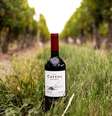 A campeã Catena Zapata é a vinícola familiar mais antiga da Argentina, fundada em 1902  Foto: Divulgação @catenawines / Estadão
