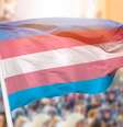 O estudo, realizado entre 2019 e 2021, analisou a saúde de 1.317 mulheres trans e travestis  Foto: iStock