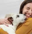 Brasil é um dos países com tutores de pets mais felizes - Shutterstock  Foto: Alto Astral