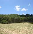  Foto: Climatempo
